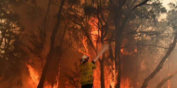 对于澳大利亚的大火我们能做些什么—加强消防意识